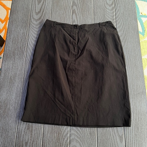 Vintage Express Skirt - Picture 1 of 3